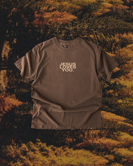 Comfort Colors Logo Tee || Espresso: L